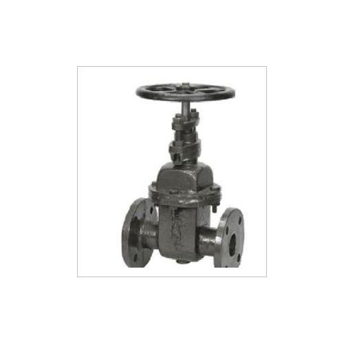 Sant Cast Iron Wedge Gate Sluice Valve Renewable Seat 300 mm, CR 19